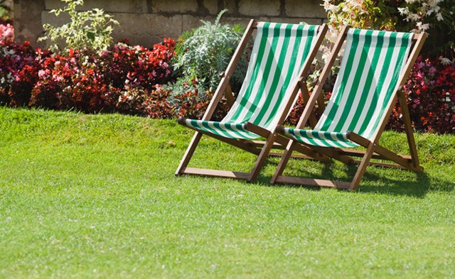 Lawn Cutting Near Me