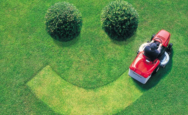 Lawn Care & Mowing