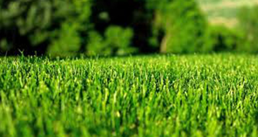 Ground Maintenance Services