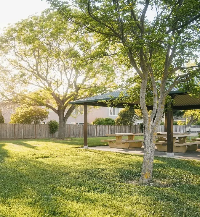 Lawn Trimming Services