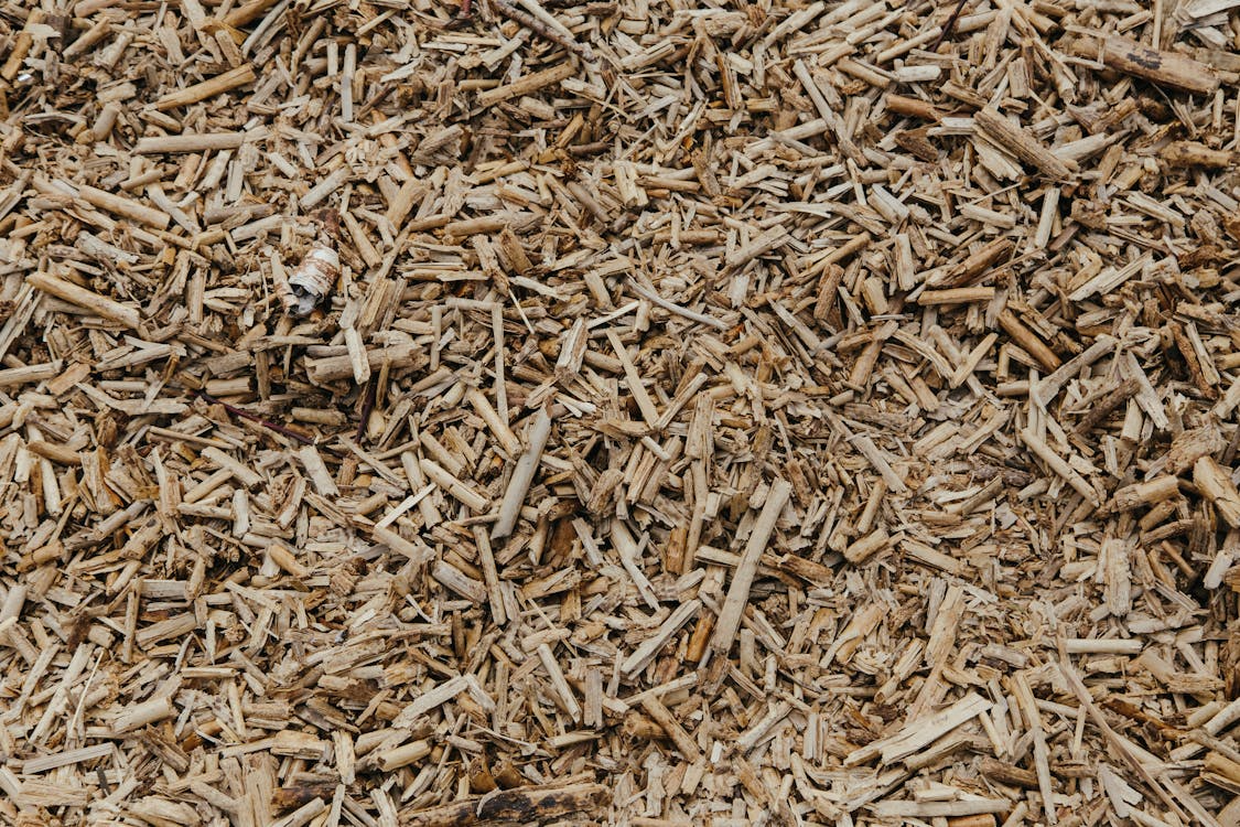 Lawn Care Company Wyoming MI