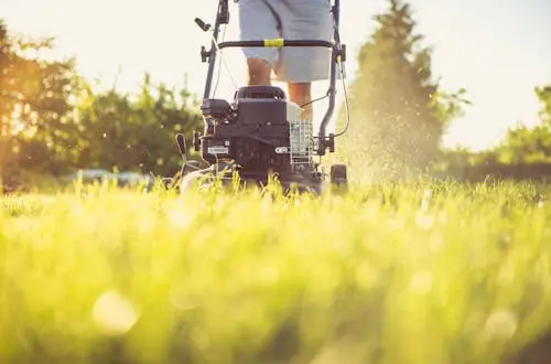 Professional Lawn Care in Hudsonville