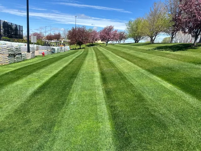 Lawn Care in Jenison, MI