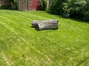 Commercial Lawn Care Kentwood, MI